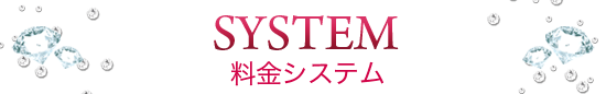 料金システム